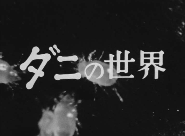 ダニの世界