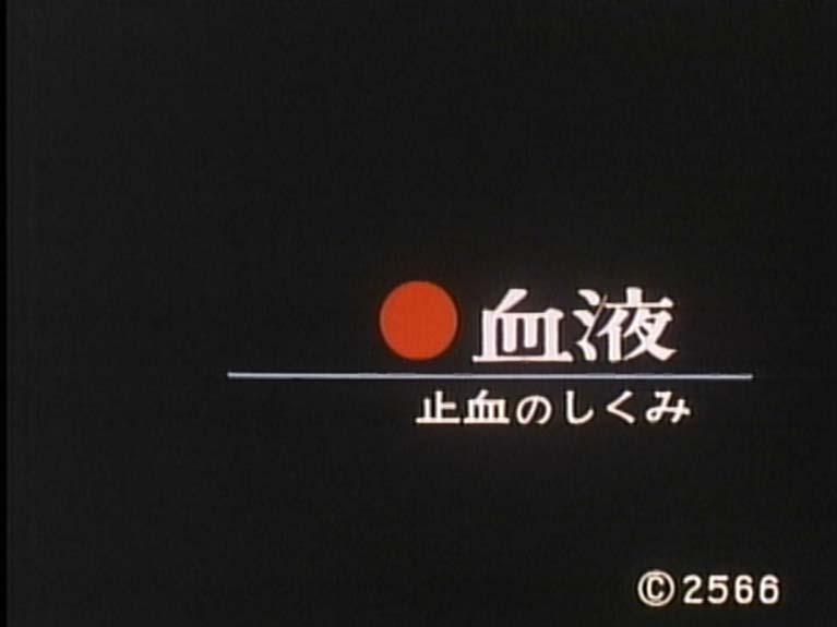 血液 止血とそのしくみ
