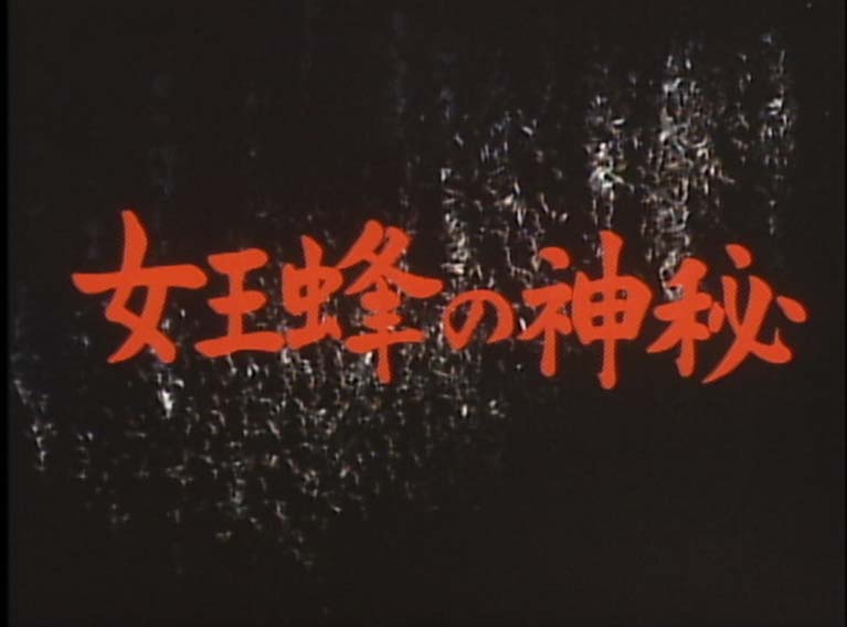 女王蜂の神秘