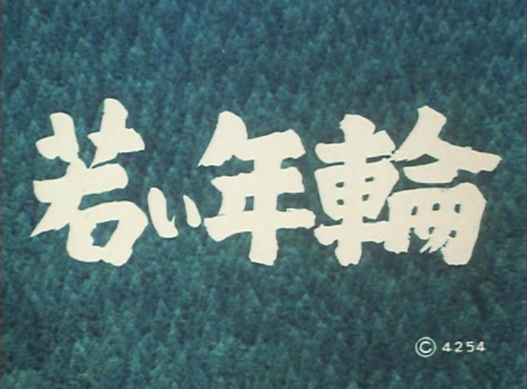 若い年輪