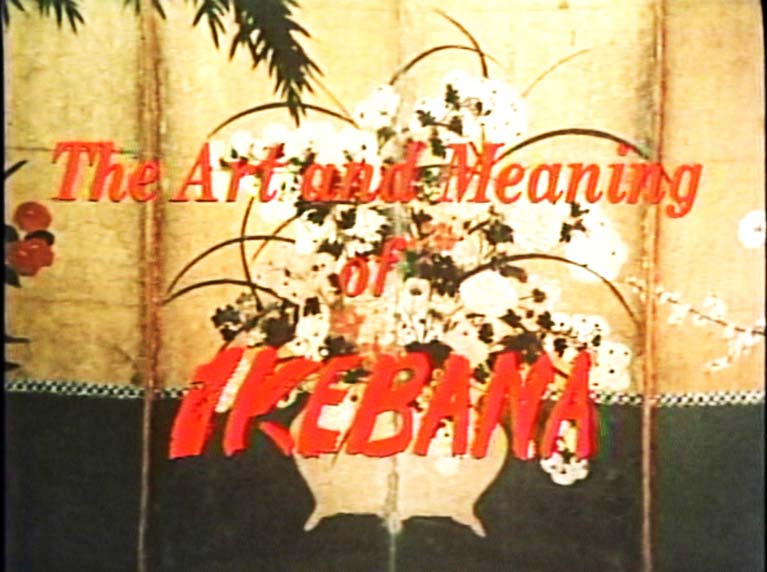 The Art and Meaning of Ikebana
(生花の美)
