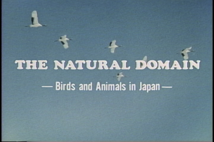 The Natural Domain Birds and animals in Japan
(日本の自然と動物)