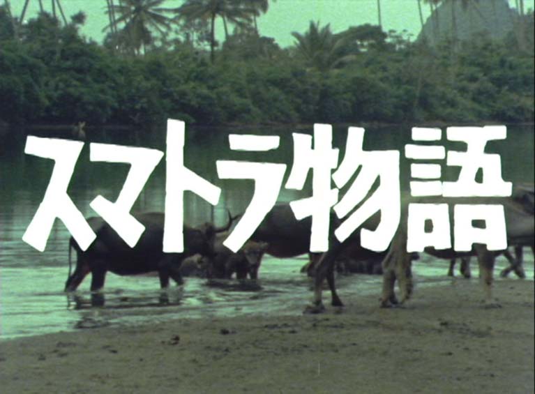 Sumatra Story
An Experience With Integrated Family Planning
(スマトラ物語)