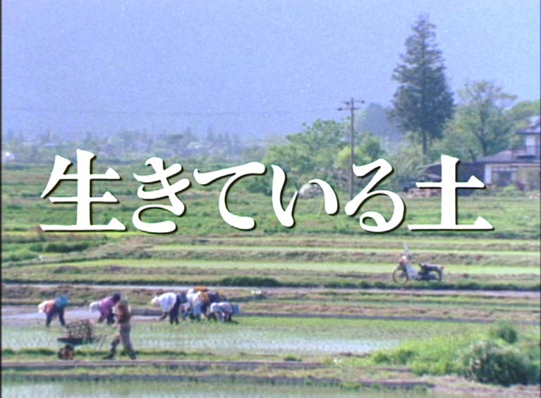 生きている土