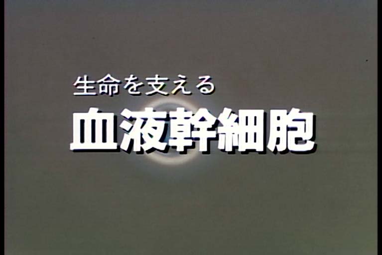 生命を支える 血液幹細胞