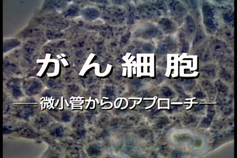 がん細胞 微小管からのアプローチ