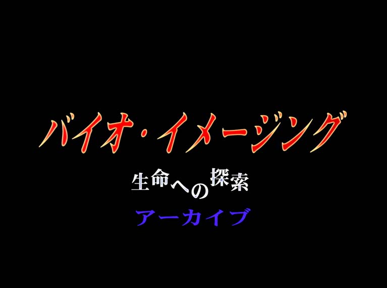 バイオイメージング 生命への探索 アーカイブ