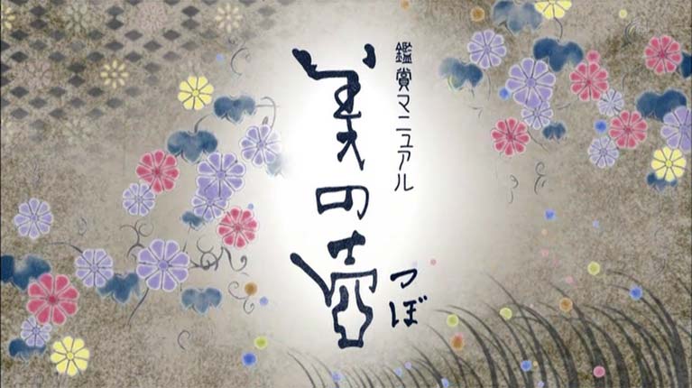 鑑賞マニュアル 美の壺 結び